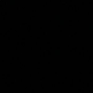 Meet your Posher, Lizette